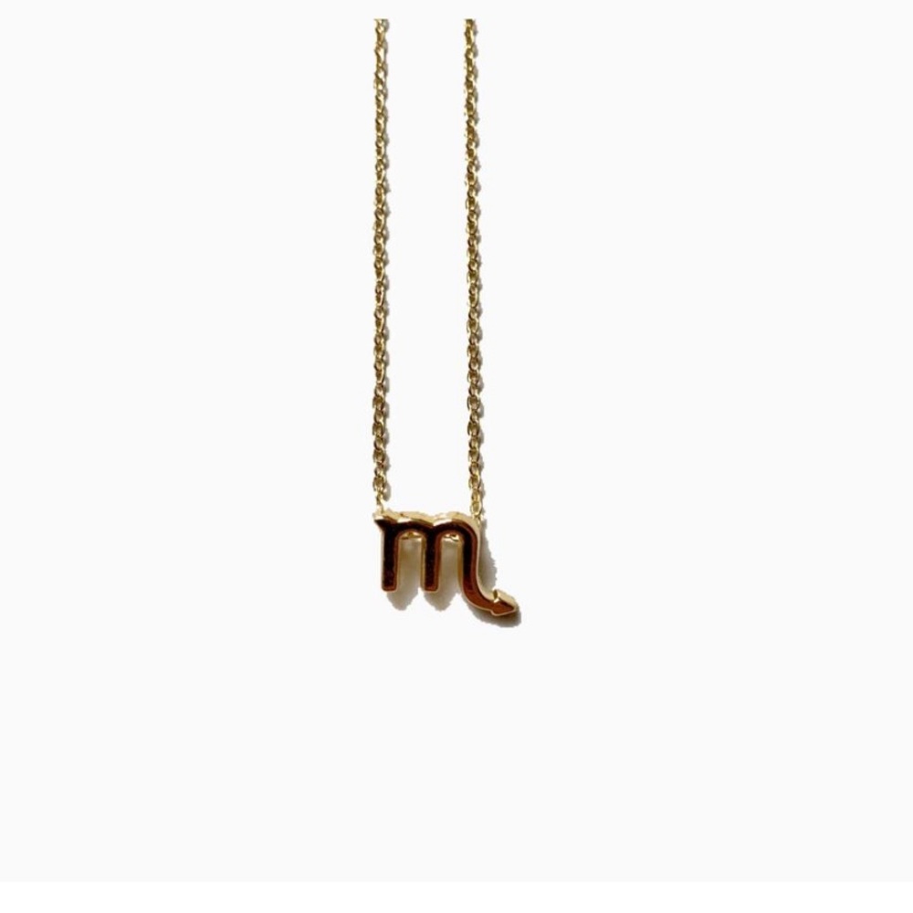 Scorpio zodiac necklace